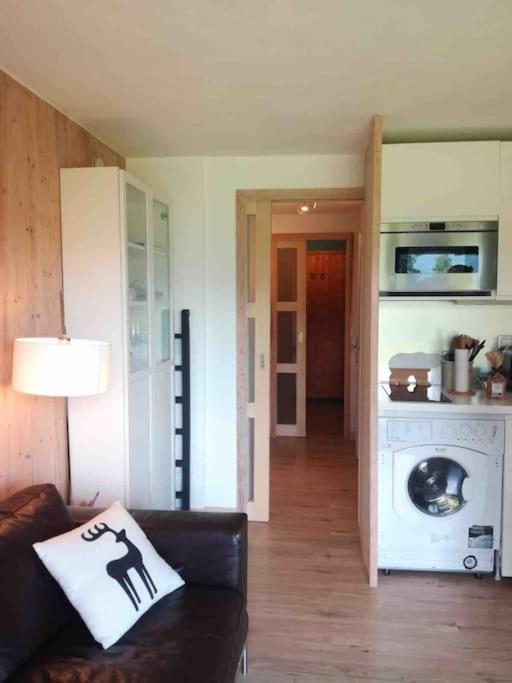 Apartamento La Marmotte: Vue Mont Blanc, Terrasse, Parking Combloux Exterior foto